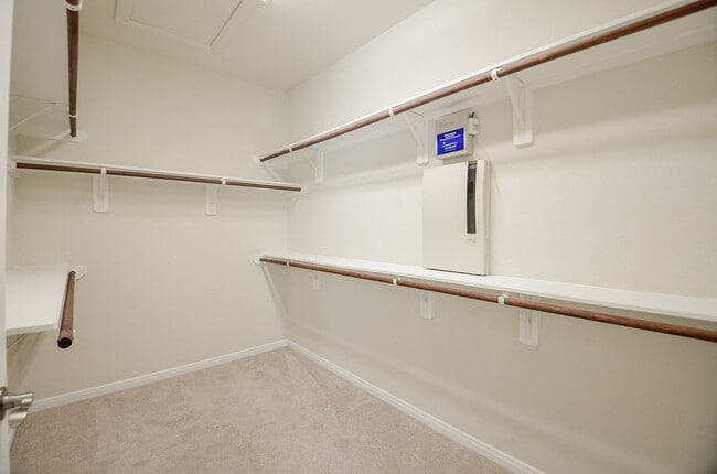 Building Photo - 6418 Burgess Heights Ln