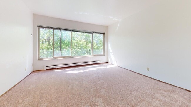 Interior Photo - Coho