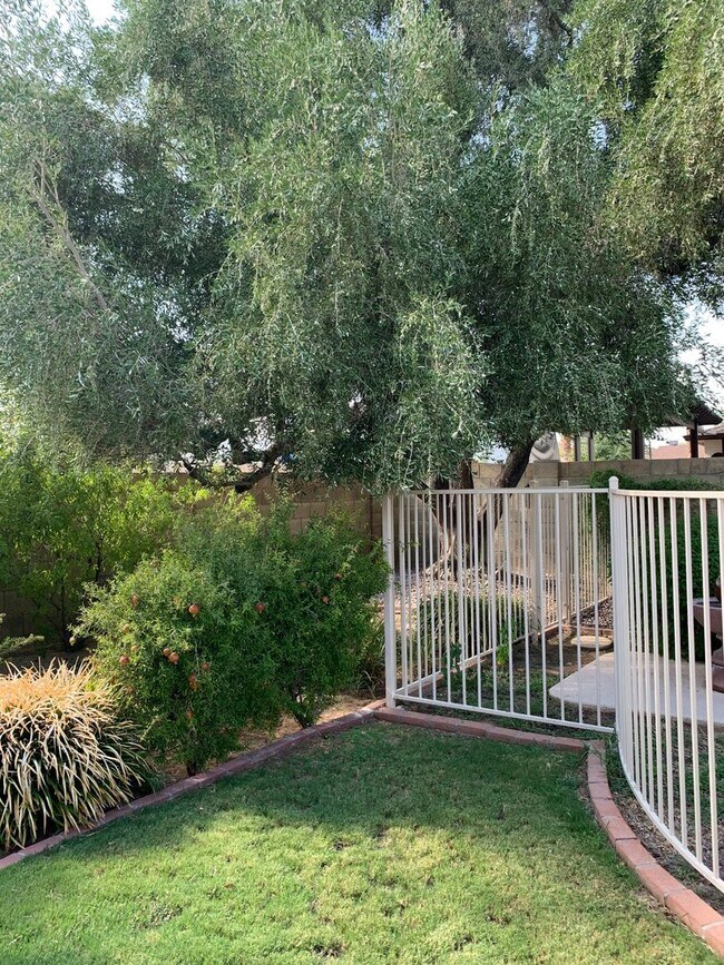 Building Photo - COMING SOON! Spacious 3 Bed 2 Bath Home w/ Private Pool!