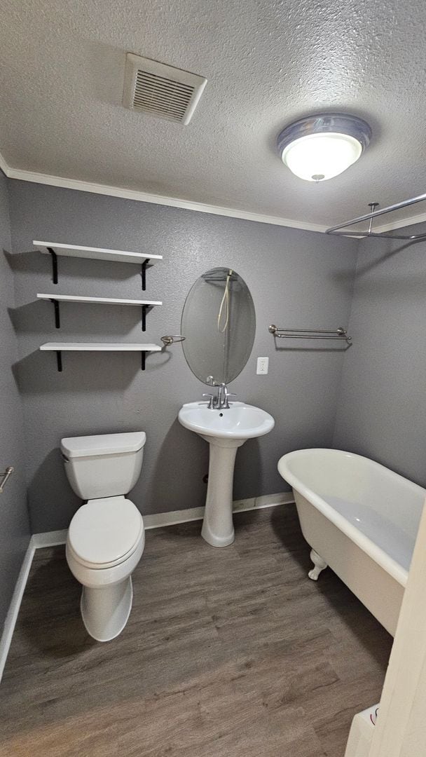 Building Photo - Cute 2-bed house,  Pet Friendly, Central location!