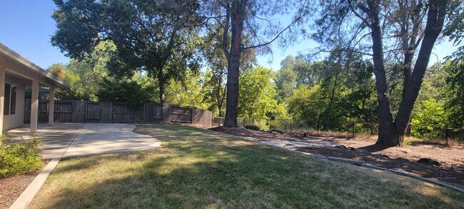 Building Photo - SCENIC BACKYARD WITH  CLEAR CREEK ACCESS I...