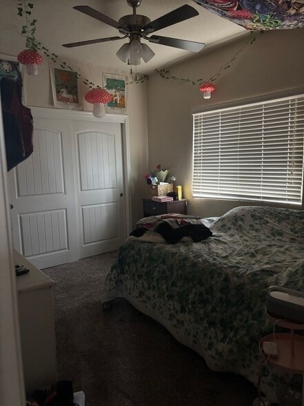 Building Photo - 3791 Bonifacio Way