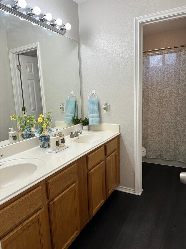 Building Photo - 900 Hollow Trail Ct