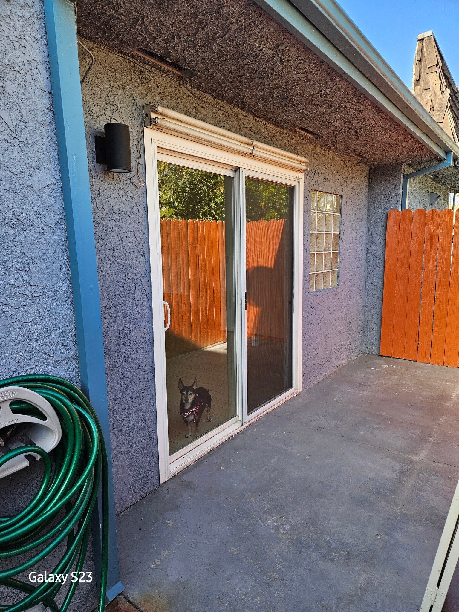 Patio - 1344 E Windsor Rd