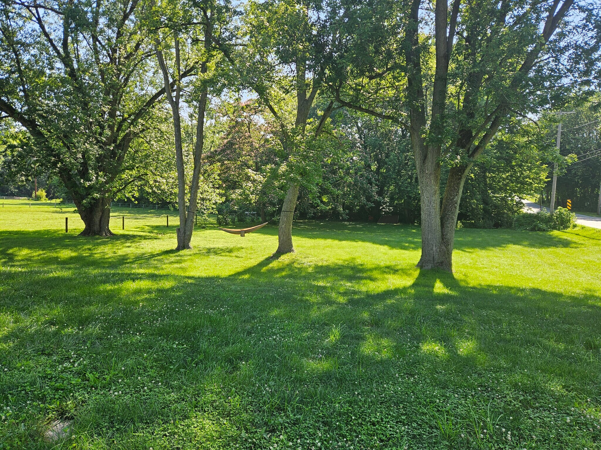 Yard - 150 Franklin Rd