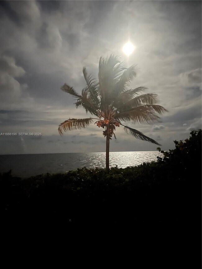 Building Photo - 1121 Crandon Blvd