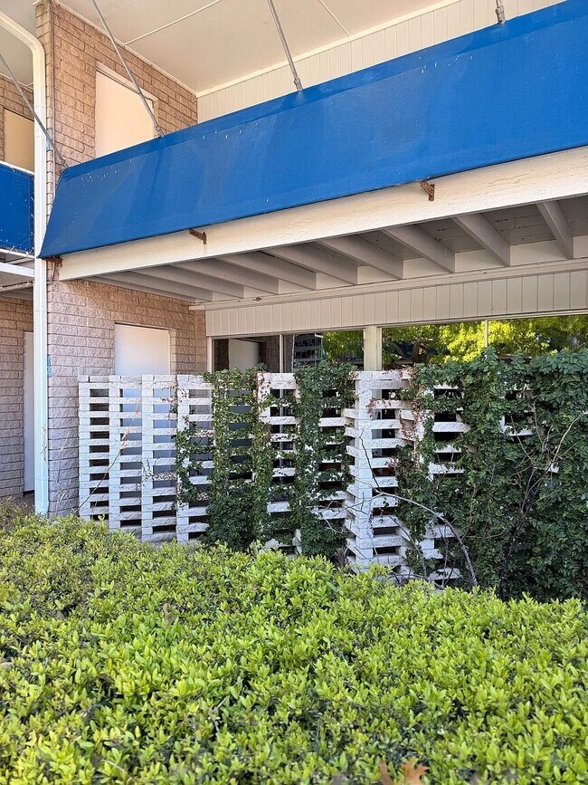 Building Photo - 3271 Sul Ross St
