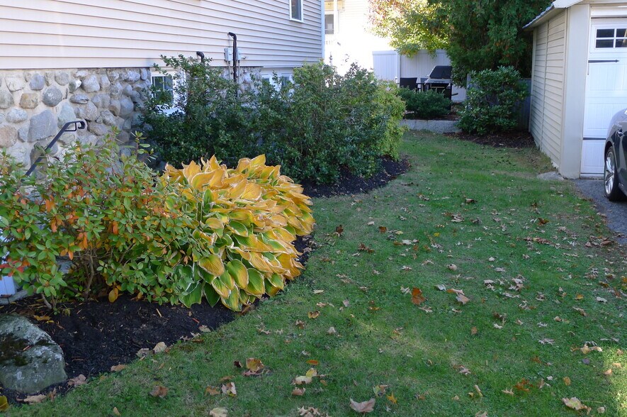 Building Photo - 12 Chestnut St