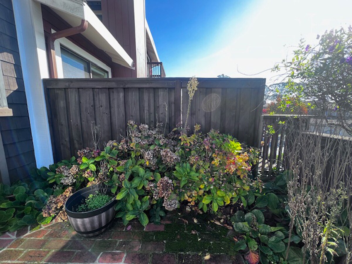 Building Photo - 2221 Pinehurst Way