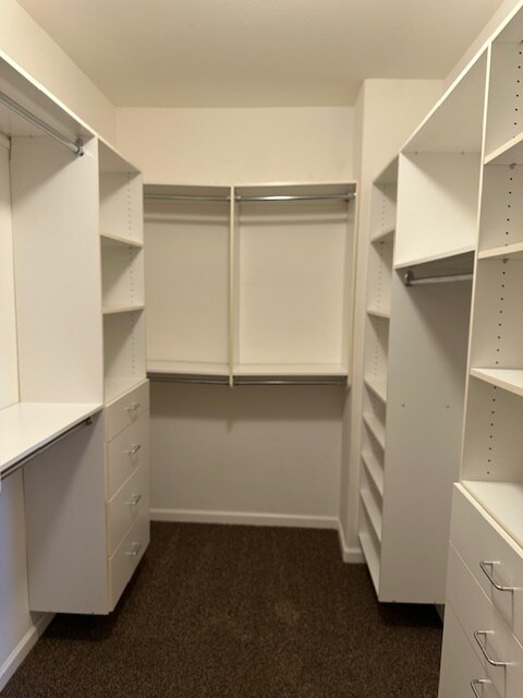 Building Photo - 9561 California Oak Cir