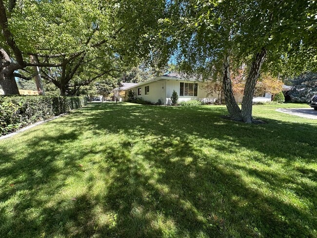 Building Photo - 5 Bed 3 Bath In Alamo W/ Pool