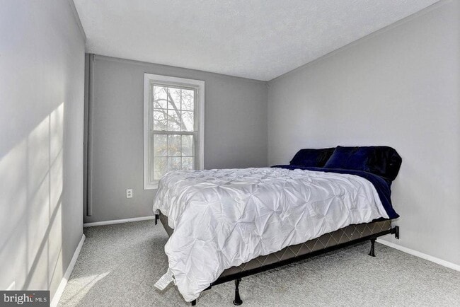 Building Photo - 3816 Bonnybridge Pl