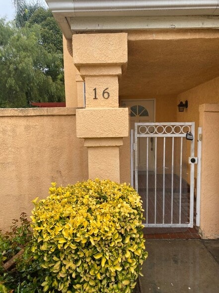 Building Photo - 16 Calle de Rodeo