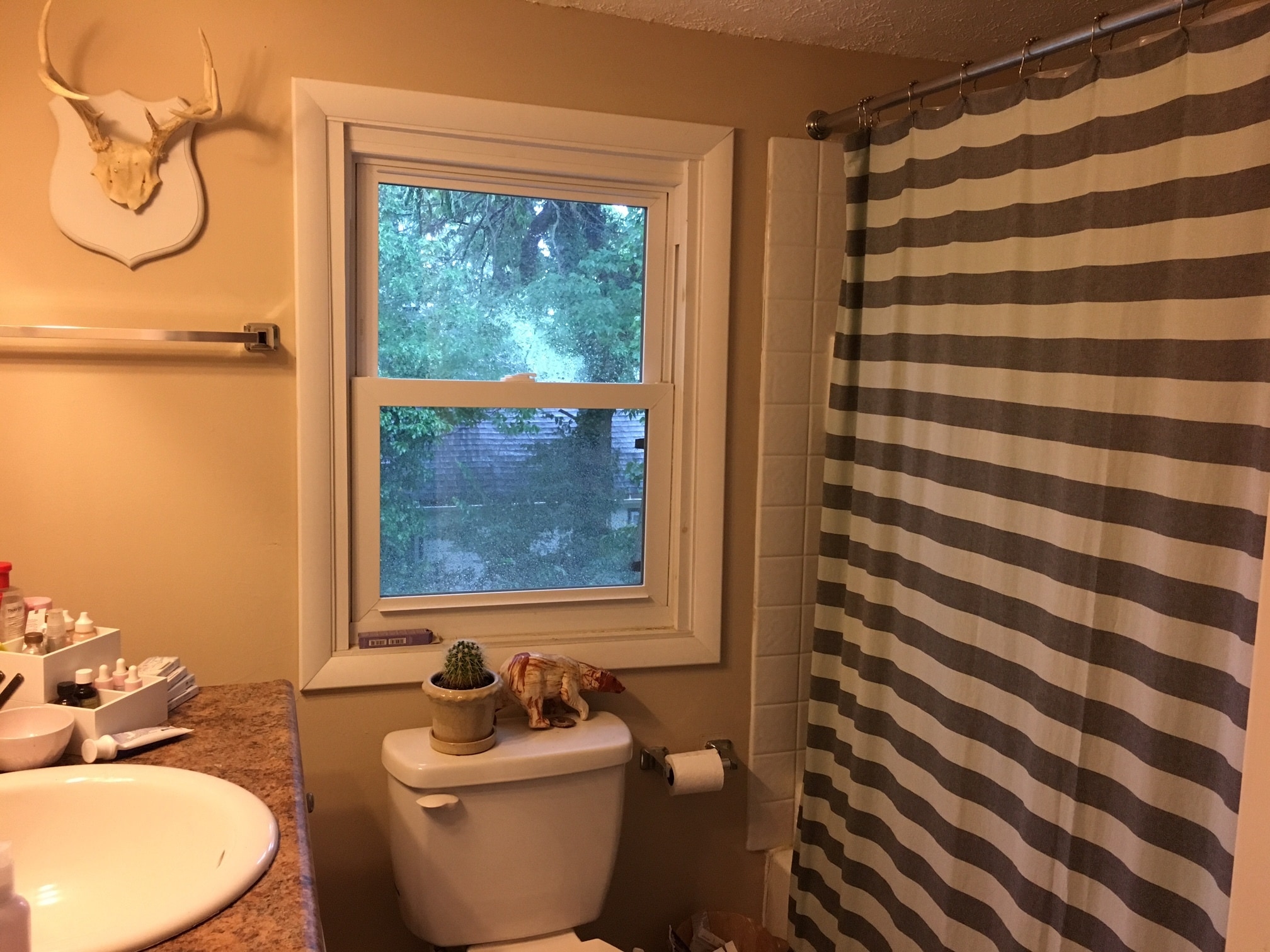 Building Photo - 1109 S Rogers St