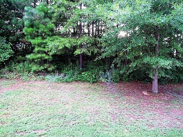 Building Photo - 6541 Pole Creek Dr
