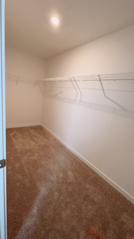 Building Photo - 1630 Lewes Castle Dr