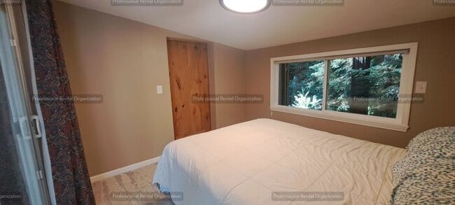 Building Photo - Sunlit Sanctuary in the Redwoods