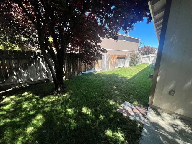 Building Photo - 1585 Roma Ct