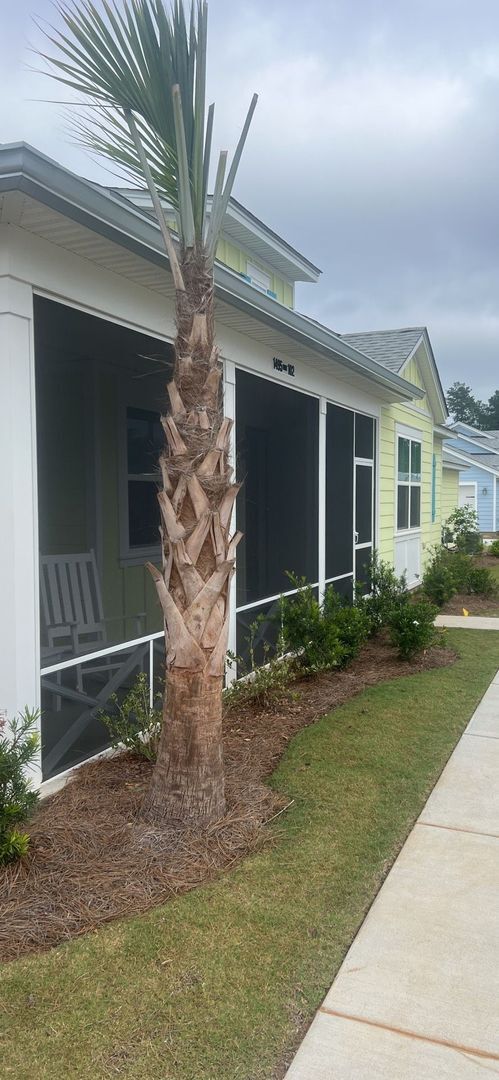 Building Photo - Welcome to Margaritaville 55 + Community