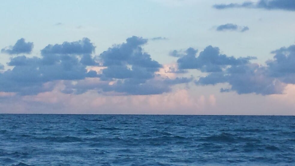 Building Photo - 5161 Collins Ave