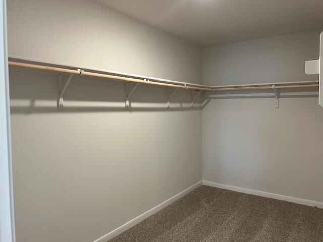 Building Photo - 311 Darwin Pl