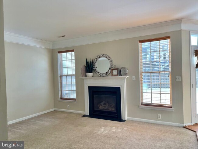 Building Photo - 12313 Tanalian Falls Ln