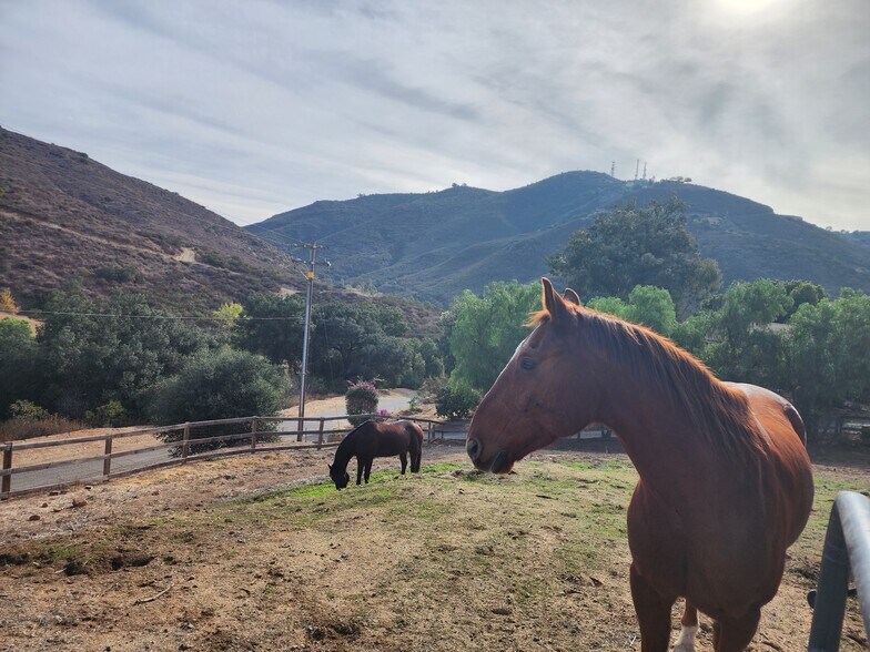 Building Photo - 2029 Willow Glen Rd