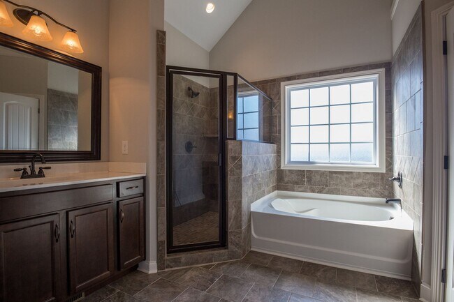 Building Photo - Huge 4 bd 3 ba Sango Go!
