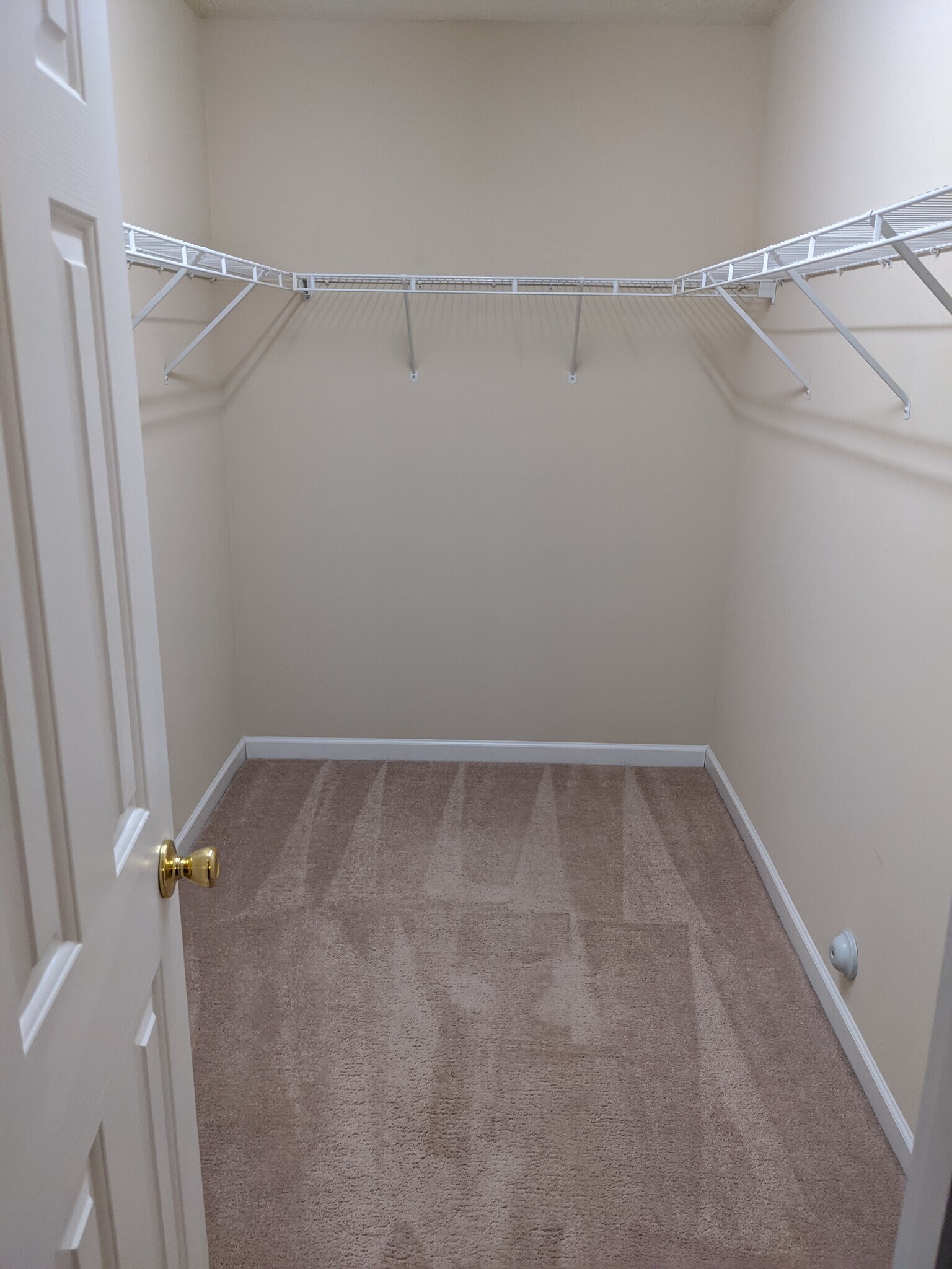 Building Photo - 4502 Camden Ridge Dr