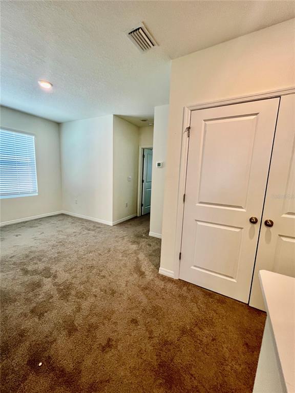 Building Photo - 32557 Turtle Grace Lp