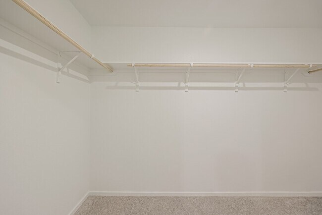 Building Photo - 2613 Shady Cedar Ct