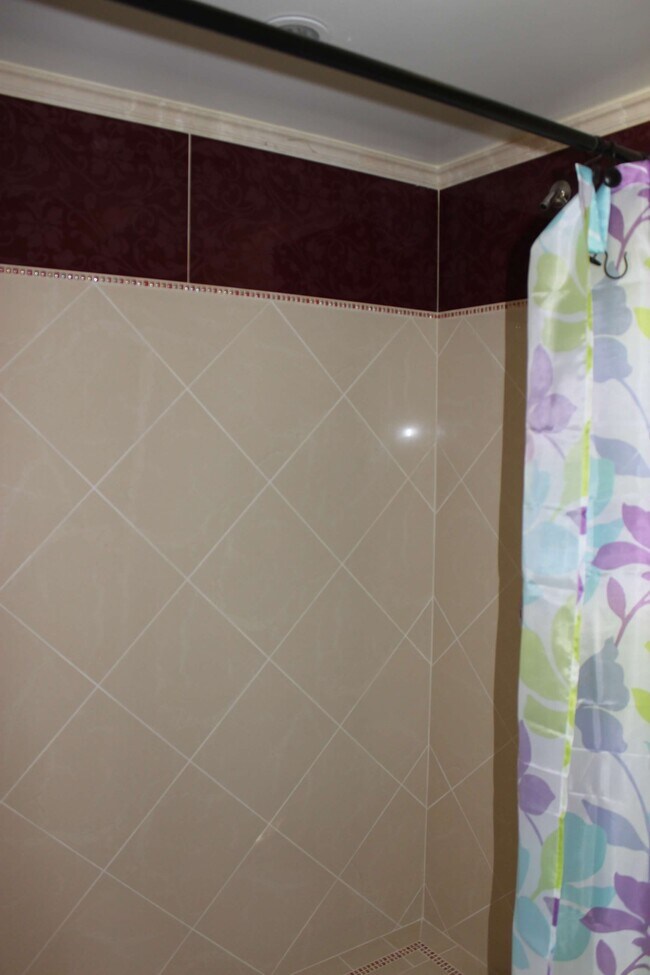 Shower - 319 Rees St