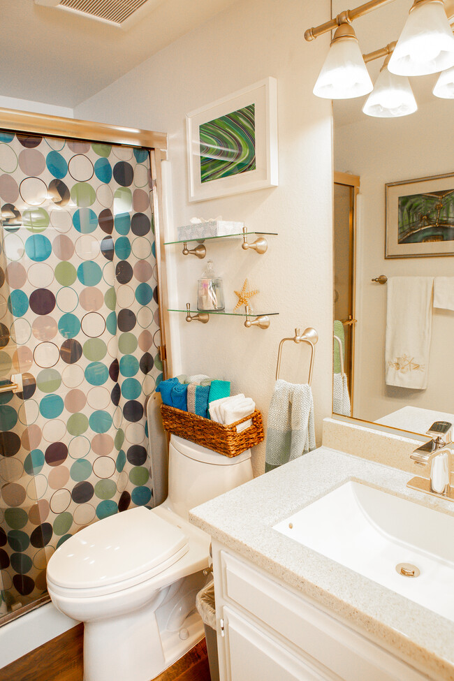 Second bathroom with Shower - 250 Vista Montana Way