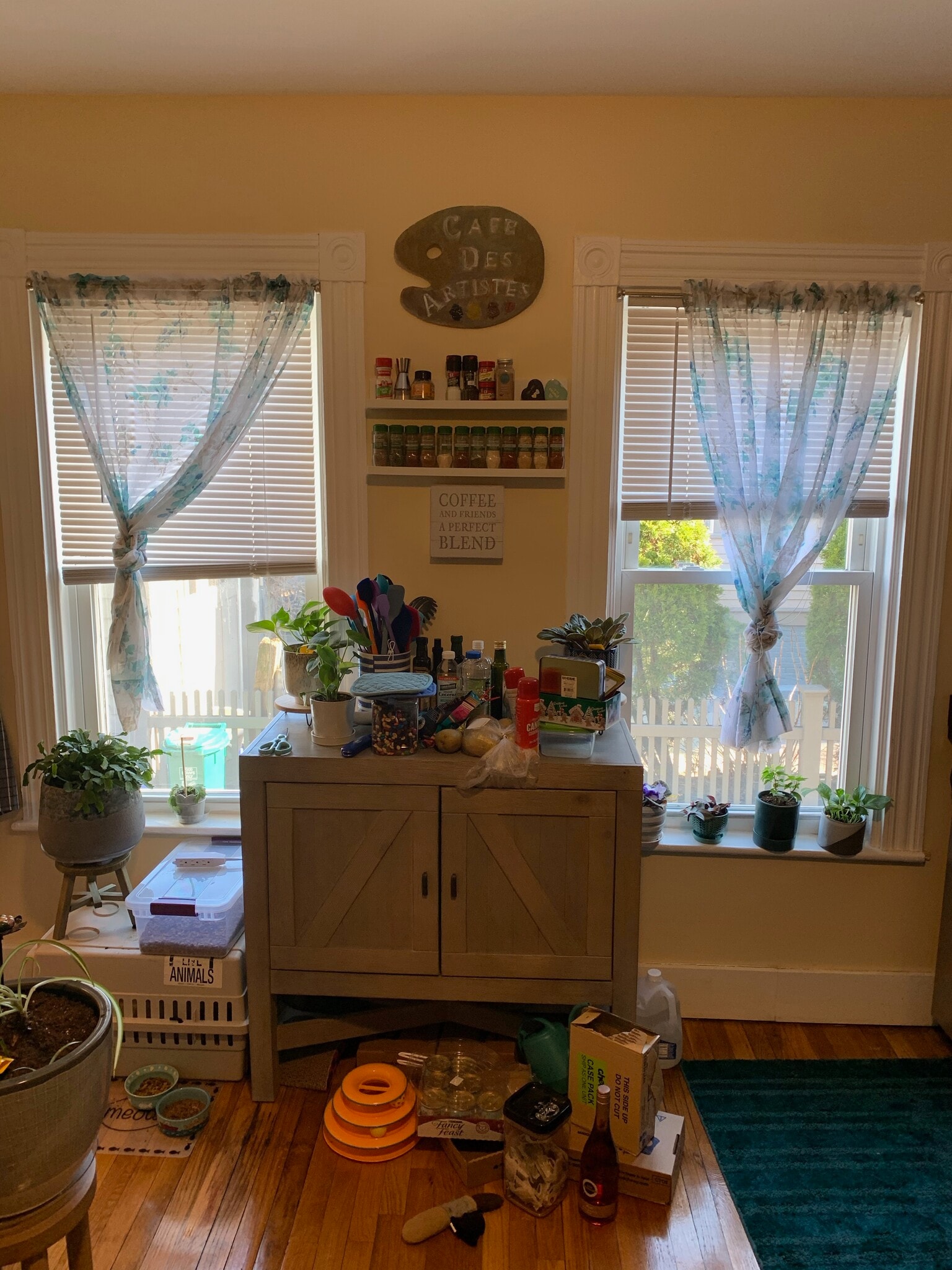 Building Photo - 5-7 Blake St. Unit 1