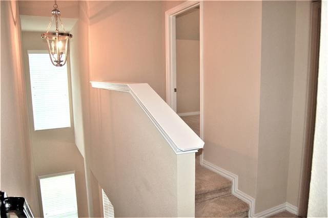 Building Photo - 142 Barrington Ln
