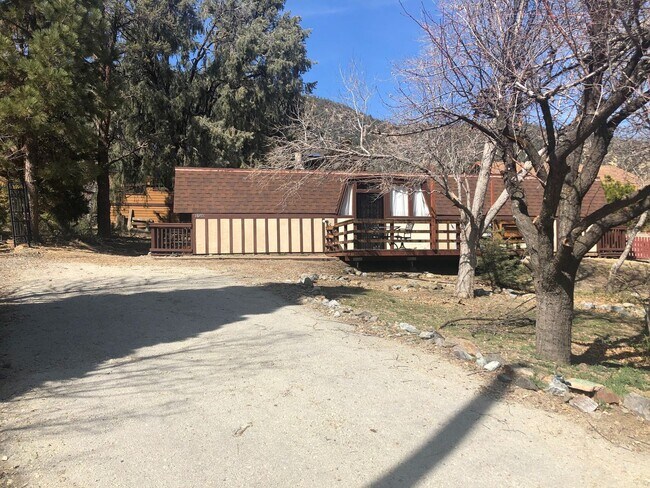 Building Photo - QUAINT CABIN IN A GREAT LOCATION!!