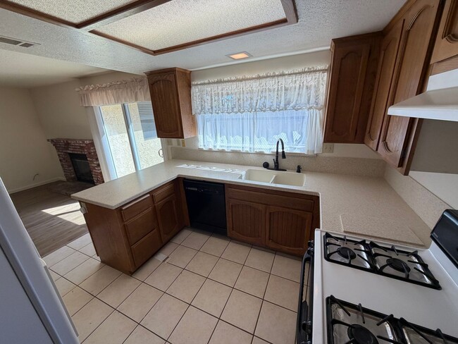 Building Photo - 428 Cabo San Jose