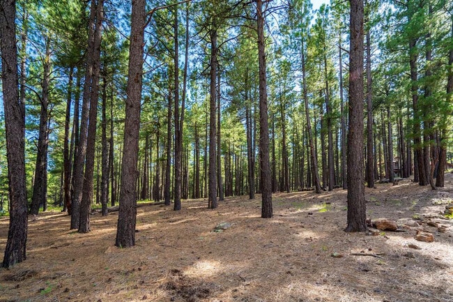 Building Photo - 4955 Hidden Hollow Rd