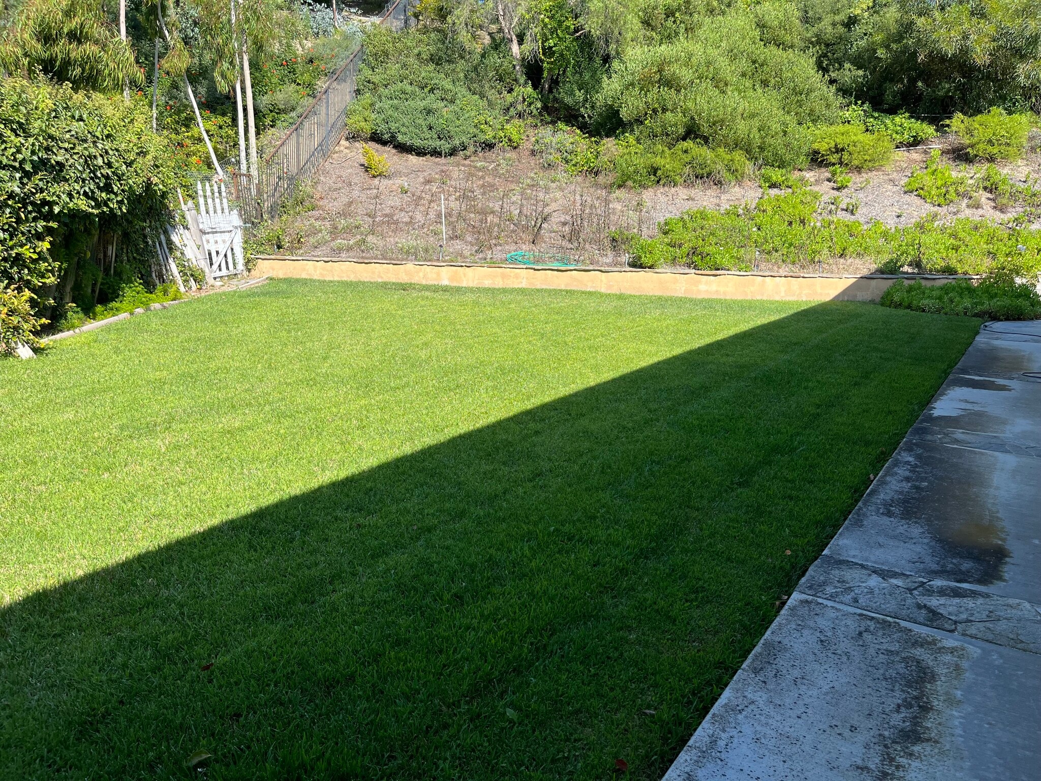 Backyard - 483 Calle Amigo