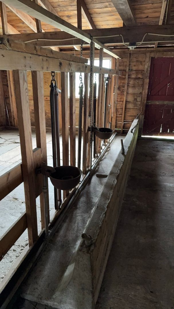 Building Photo - Country Horse Property on Nearly 2 Acres in Hayden!