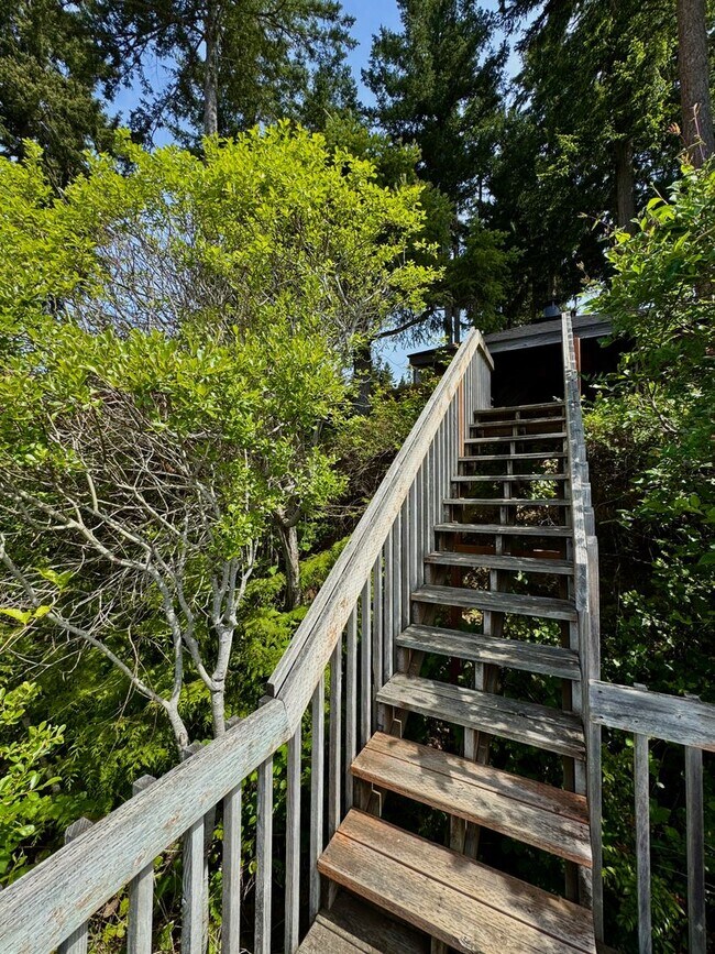 Building Photo - Stunning completely remodeled waterfront P...