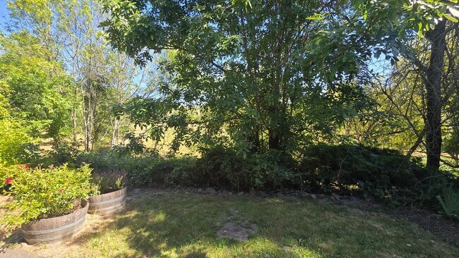 Building Photo - 8341 Valley View Ct