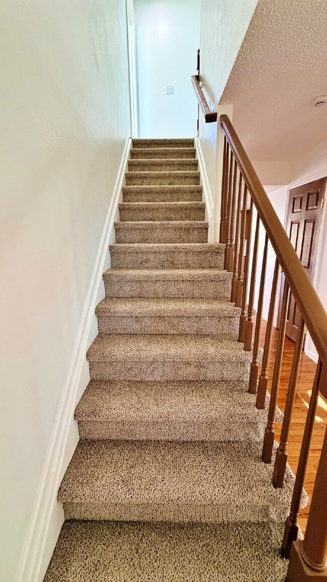 Building Photo - Fantastic 4 Bed 3 Bath 2 Car Garage Home in Aurora Highlands! NEW Carpet! NEW Paint! NEW Bathroom...