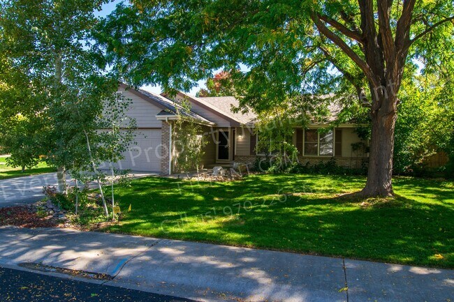 Building Photo - Beautiful 4-Bedroom Home in Southeast Fort Collins!