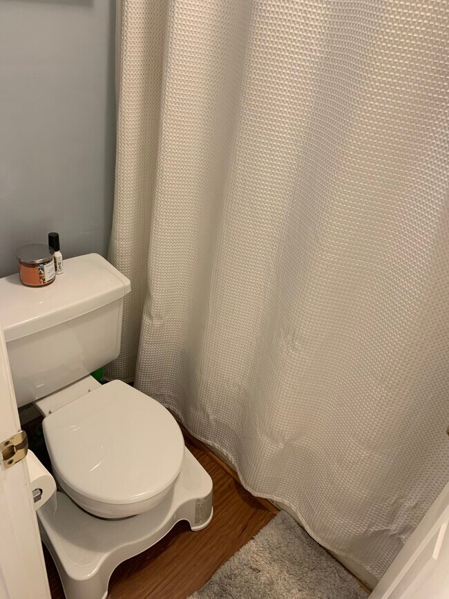 Back Bedroom Bathroom. - 2165 S Milledge Ave