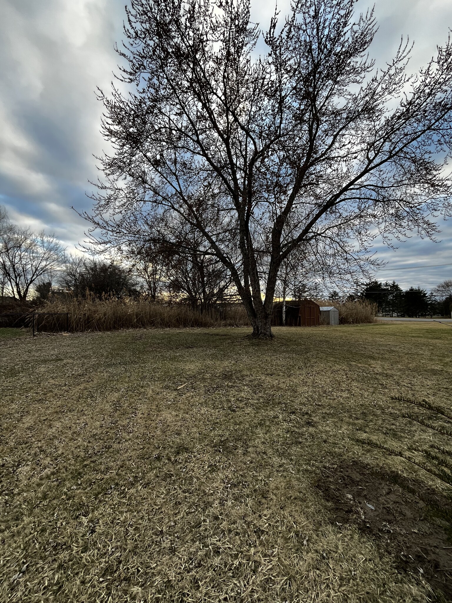 View of backyard - 56 Suncrest Dr