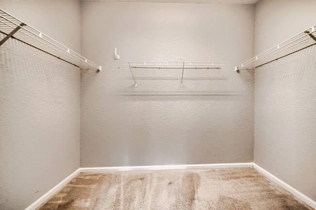 Building Photo - 2484 San Tecla St