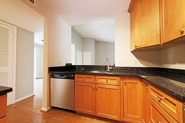 Building Photo - Updated top floor 2br with vaulted ceilings, two balconies and treed views!