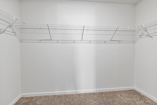 Building Photo - 5619 Wyatt Ct