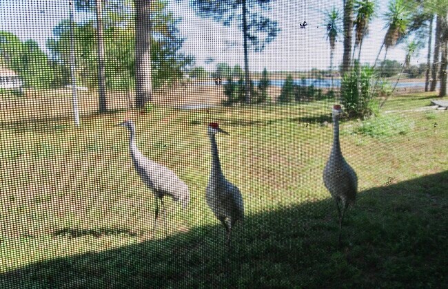 Building Photo - 1371 Melshire Ave